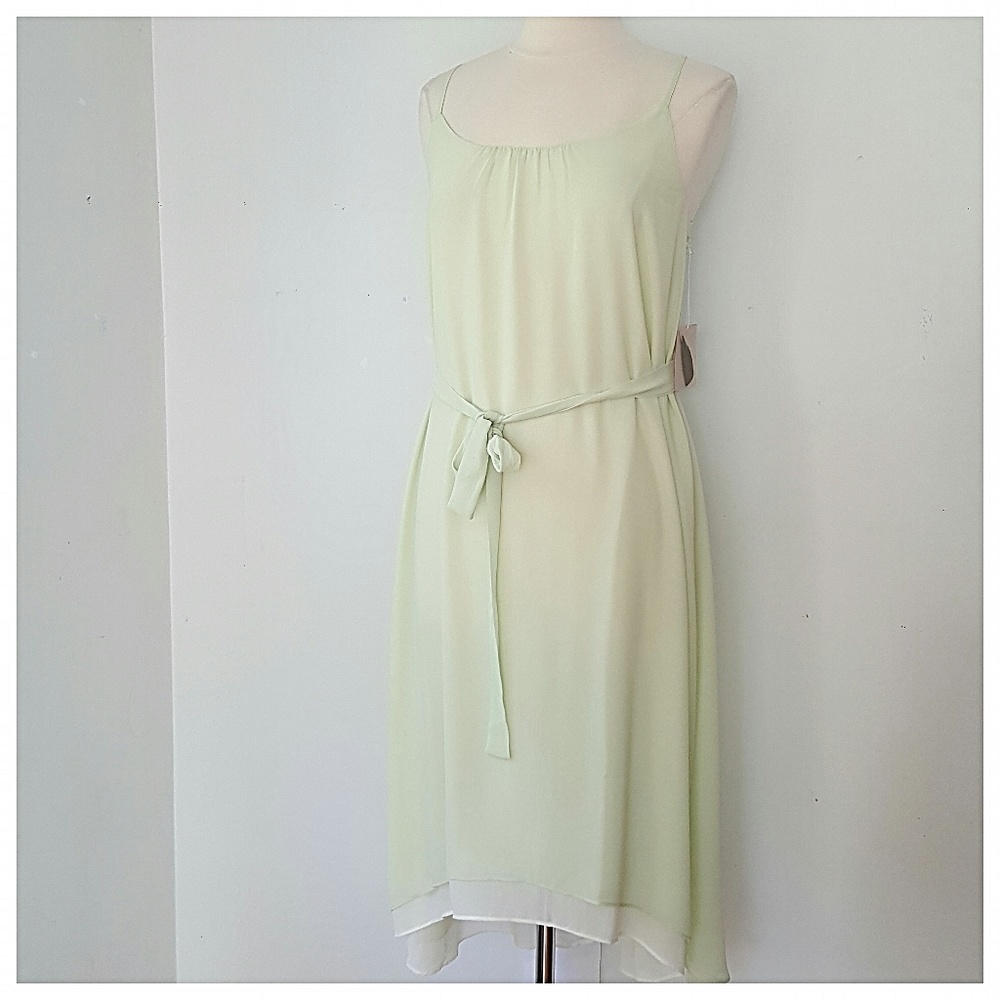 NWT Sheer Dress SIZE SMALL